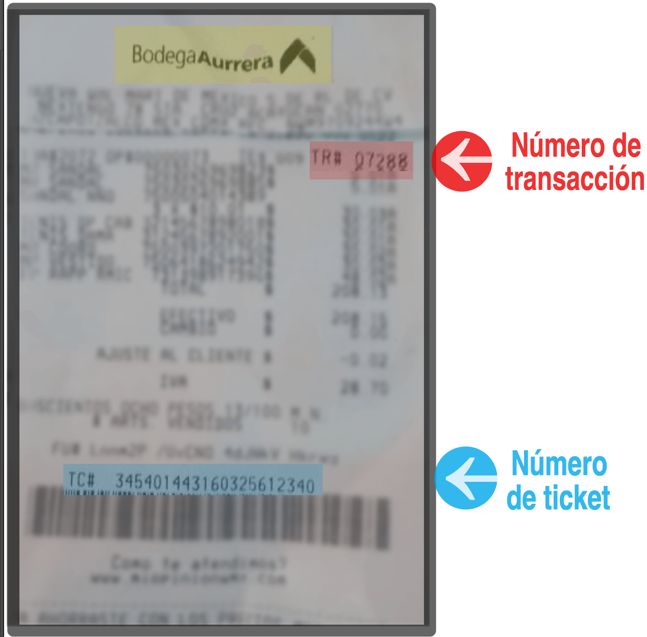 Ticket Bodega Aurrea