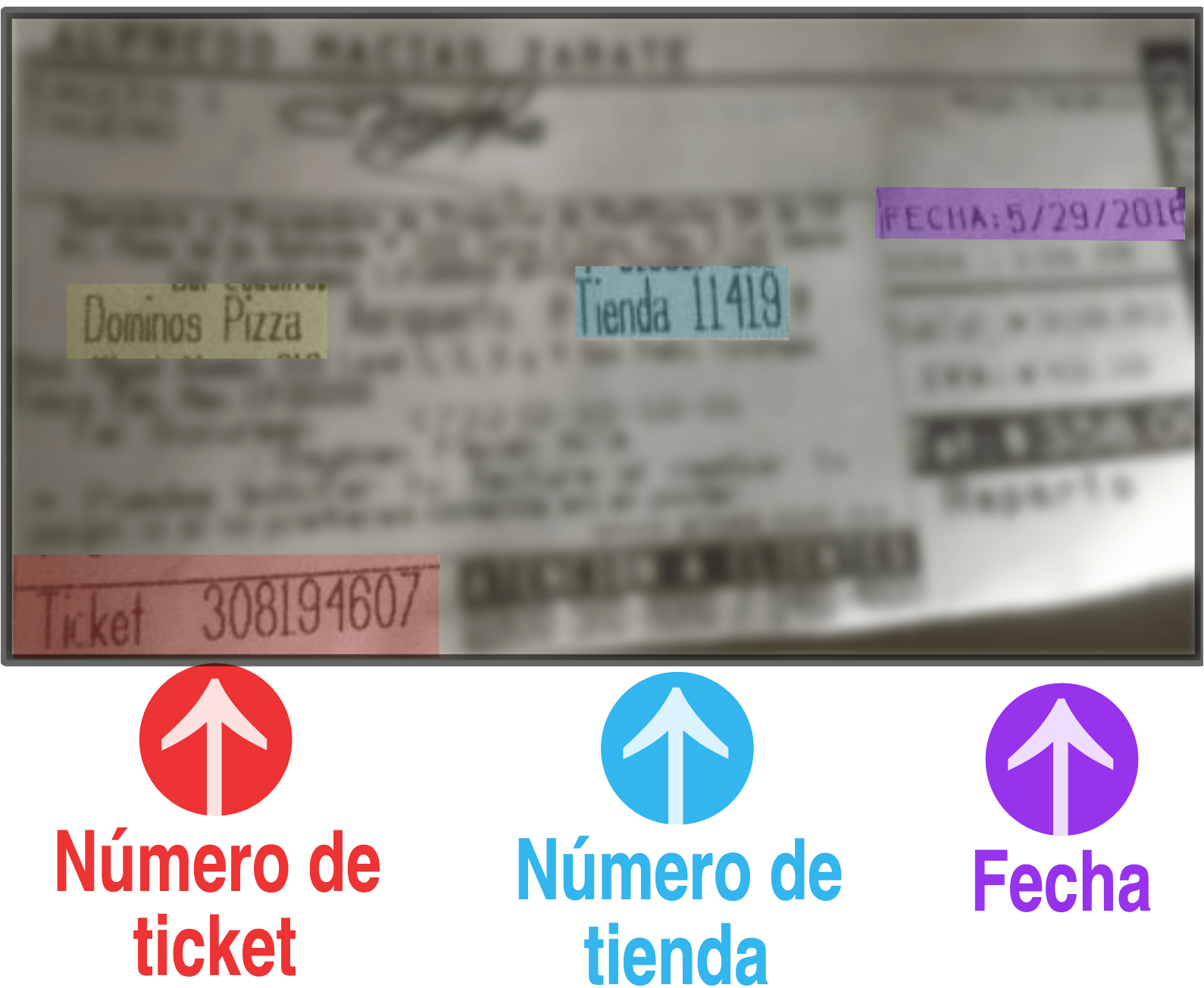 Ticket Dominos