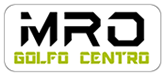 Logo de Autopista Golfo Centro